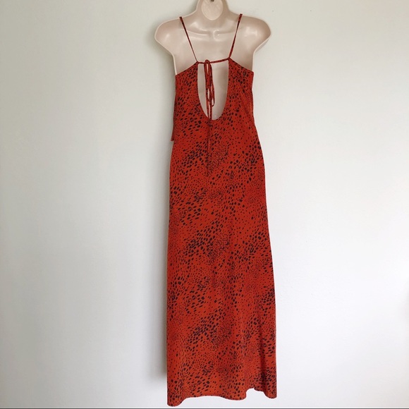 Cheetah Maxi Dress in Cinnabar Color - Picture 5 of 6